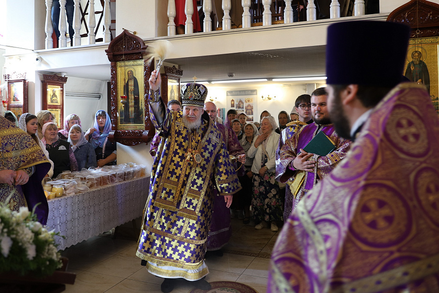 Архипастырский визит в Богородское благочиние